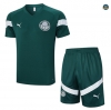 Nuevas Cfb3 Camiseta Entrenamiento Palmeiras + Pantalones Cortos Equipación Verde 2023/2024 replicas
