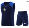 Nuevas Cfb3 Camiseta Entrenamiento Al-Nassr Chaleco Pantalones Equipación Azul Real 2023/2024