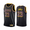 Cfb3 Camisetas LeBron James, Los Angeles Lakers 2020/21 - Earned Edition