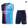 Buscar Cfb3 Camiseta Entrenamiento Arsenal Chaleco Pantalones Equipación Azul 2023/2024 online