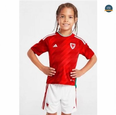 Nuevas Cfb3 Camiseta Gales Niños 1ª Equipación 2022/2023