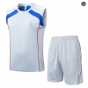 Replicas sin mangas Bayern Munich Equipación Gris/Azul 2025/2026