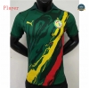 cfb3 camisetas Player Version Senegal Equipación commemorative 2022/2023