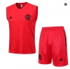 Buscar Cfb3 Camiseta Entrenamiento Flamengo Chaleco Pantalones Equipación 2023/2024 online