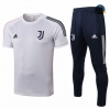Cfb3 Camiseta Entrenamiento Juventus + Pantalones Equipación Gris Claro 2020/2021