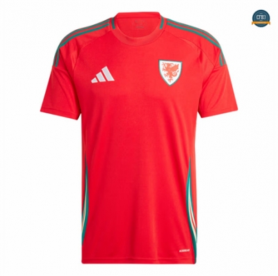Camiseta futbol Gales 1ª Equipación 2024/2025