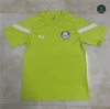 Nuevas Cfb3 Camiseta Palmeiras Equipación Training Verde Gazon 2022/2023