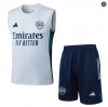Nuevas Camiseta Sin Mangas Arsenal Equipación Gris Clair/Azul marino 2025/2026