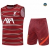 cfb3 camisetas Entrenamiento Liverpool Debardeur + Cortos Equipación 2022/2023 cfb3 092