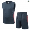 Tailandia sin mangas Bayern Munich Equipación Gris oscuro/Naranja/rojo 2025/2026