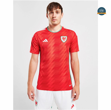 Nuevas Cfb3 Camiseta Gales 1ª Equipación 2022/2023