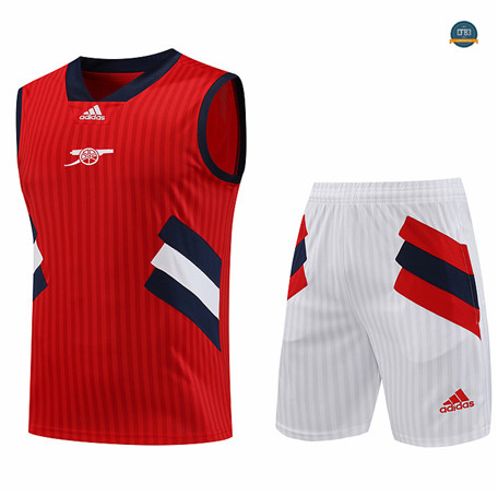 Nuevas Cfb3 Camiseta Entrenamiento Arsenal Chaleco Pantalones Equipación Rojo 2023/2024 replicas