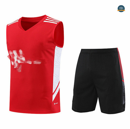 Diseñar Cfb3 Camiseta Entrenamiento Bayern Munich Chaleco Pantalones Equipación Rojo 2023/2024 baratas