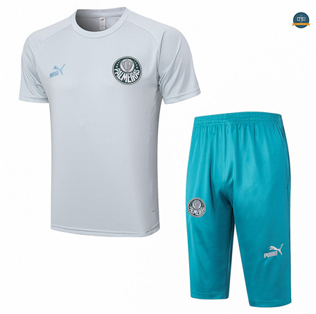 Outlet Cfb3 Camiseta Entrenamiento Palmeiras + Pantalones Cortos 3/4 + Pantalones Equipación Gris 2023/2024 tienda