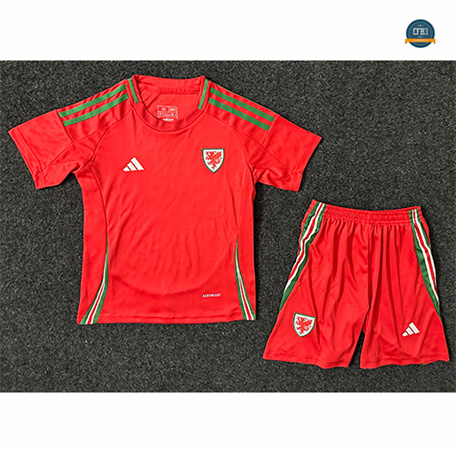 Camiseta futbol Gales Niño 1ª Equipación 2024/2025